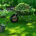 A garden cart with grass, next to a metal watering can. Garden c