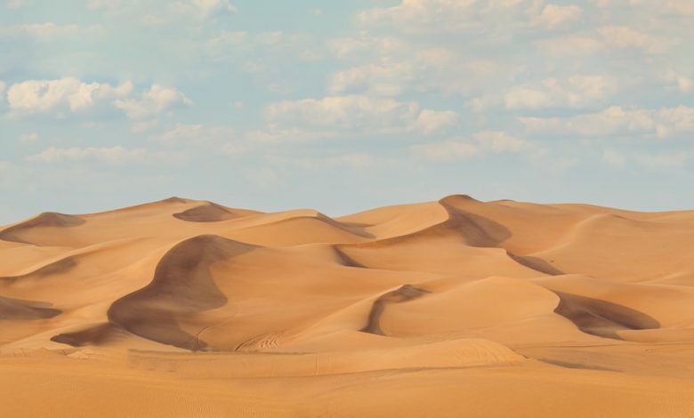 Benefits to Taking a Desert Safari in Dubai