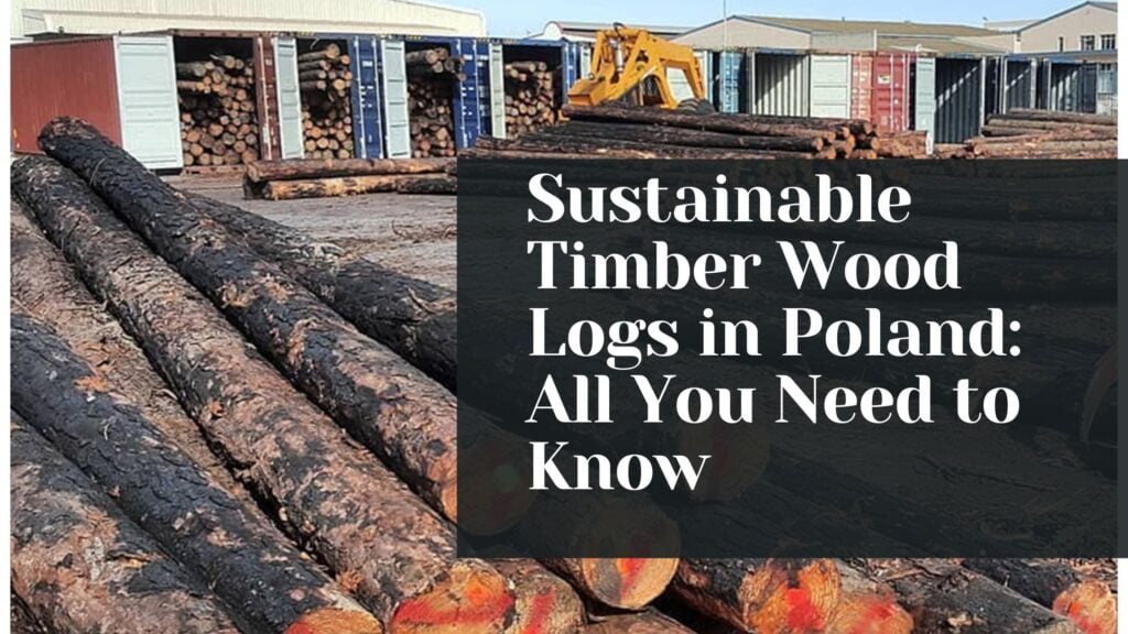 Wood Logs in Poland