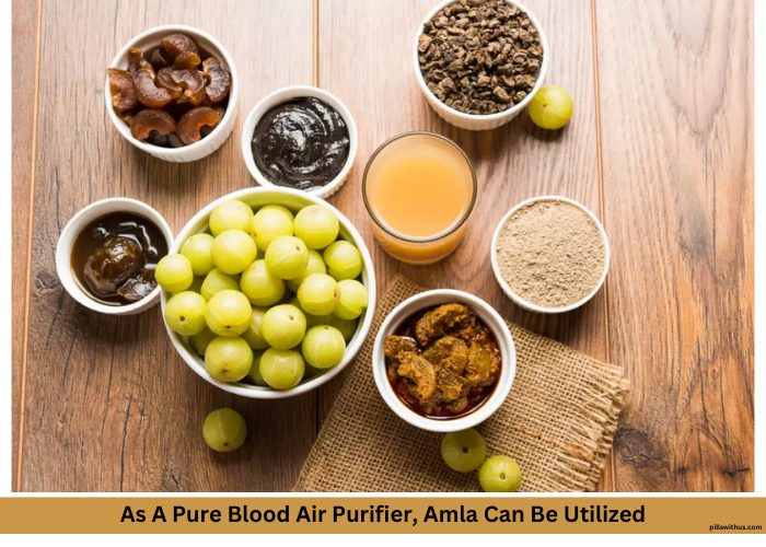 As A Pure Blood Air Purifier, Amla Can Be Utilized